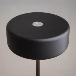 New Maytoni AI Collaboration 35cm portabel
