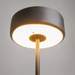 New Maytoni AI Collaboration 35cm portabel