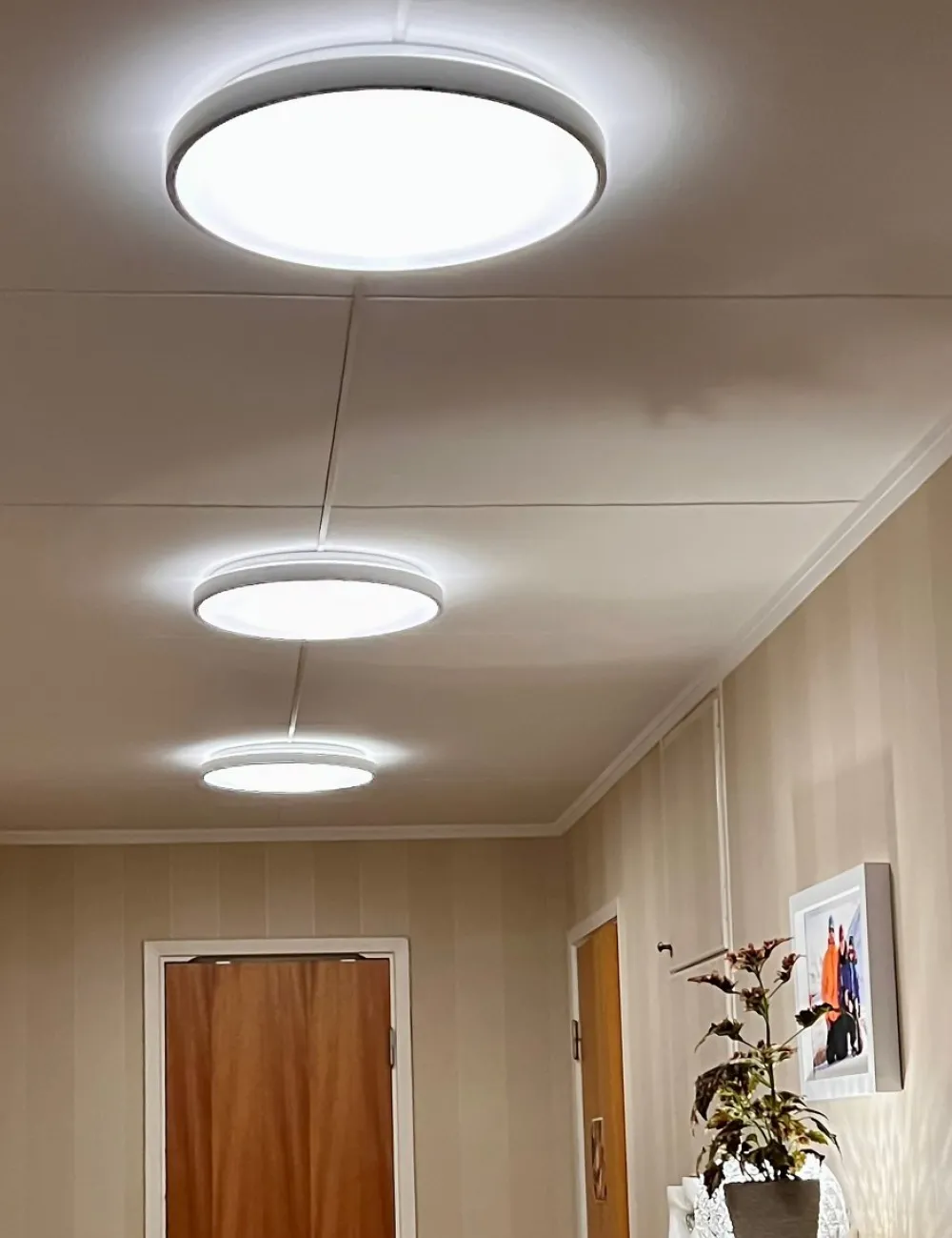 Sale Aneta Lighting Anillo Ø40 plafond