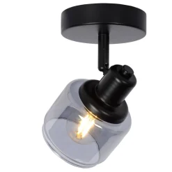 Lucide Bjorn spotlight