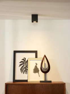 Best Lucide Bodi spotlight