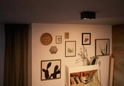 Best Philips Box 2 spotlight