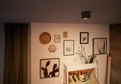 Online Philips Box spotlight