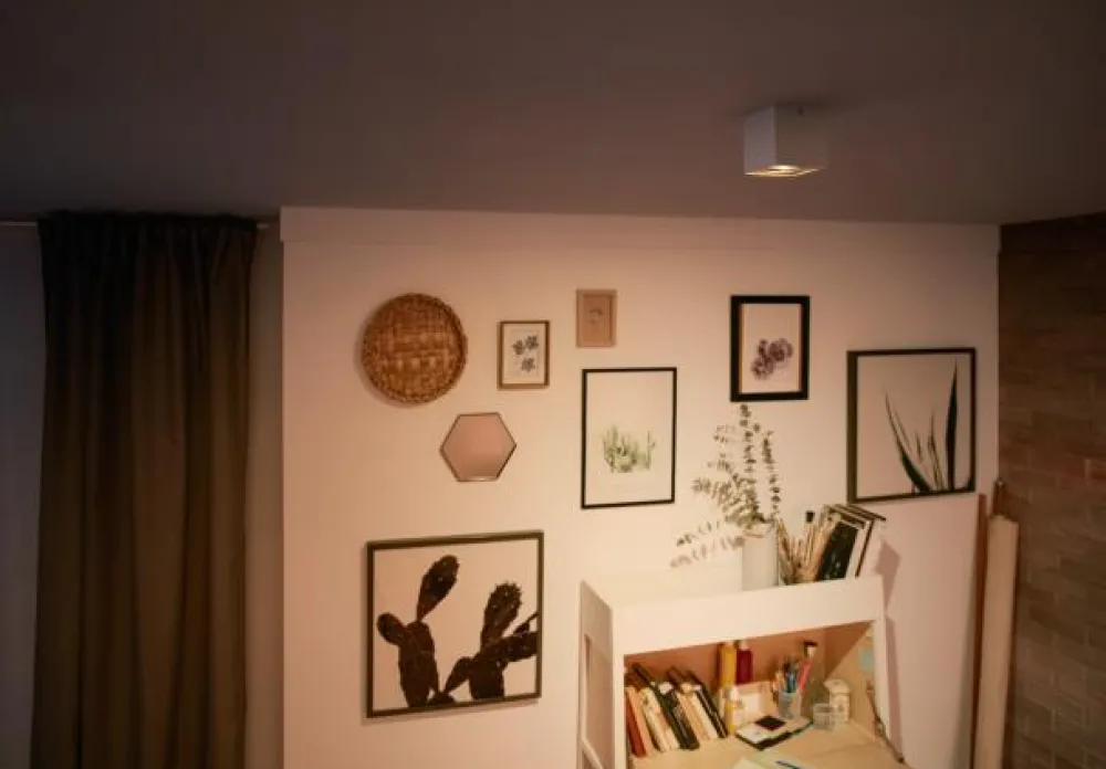 Online Philips Box spotlight