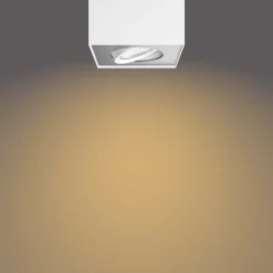 Online Philips Box spotlight