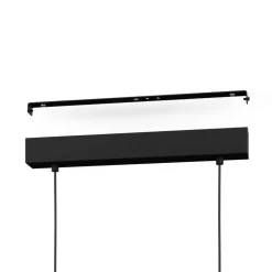 Eglo Boyal 100cm taklampa Svart
