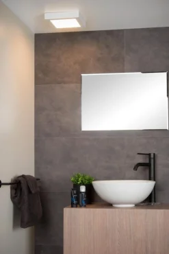 Lucide Brice-Led 22cm badrumslampa