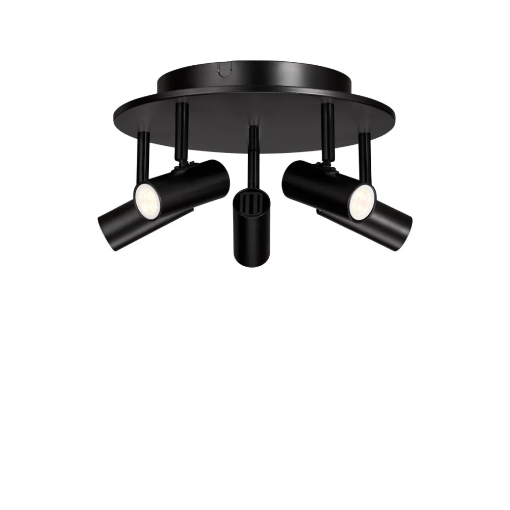 Best Belid Cato 5 spotlight