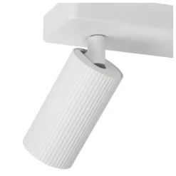 Lucide Clubs 2 spotlight