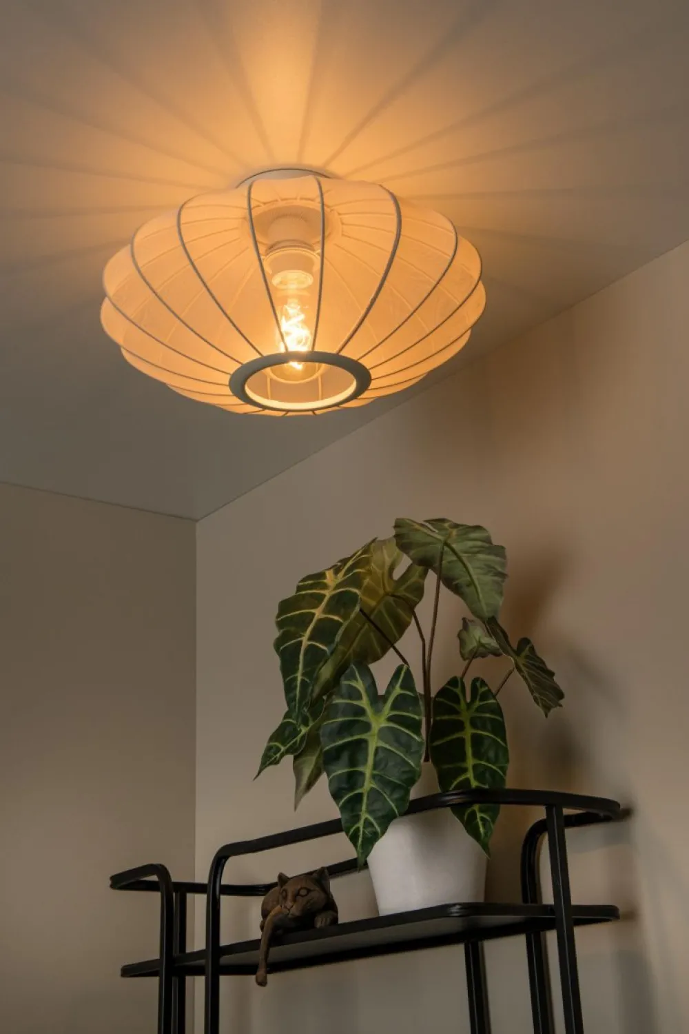 Hot Lucide Corina Ø40 plafond