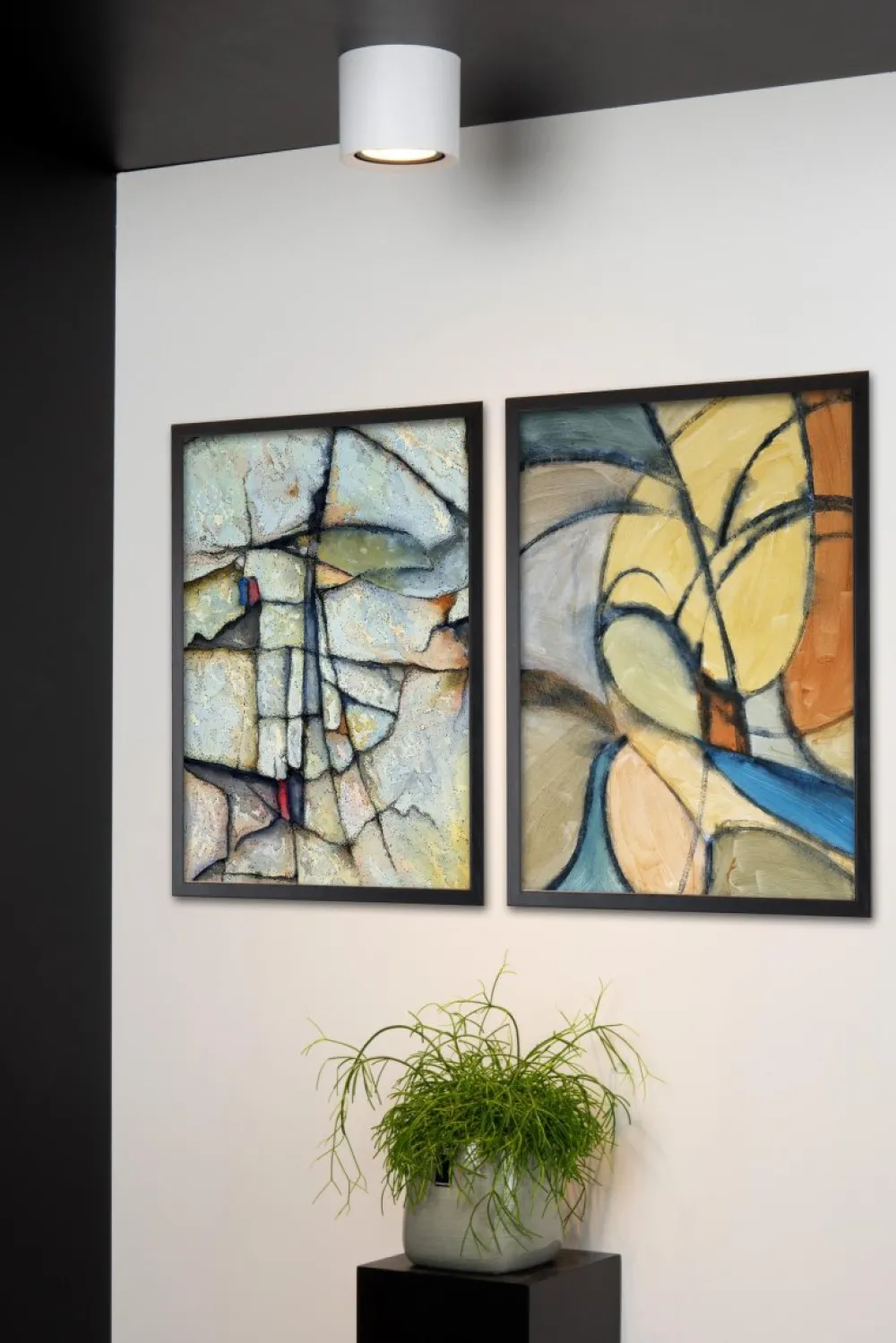 Lucide Fedler spotlight