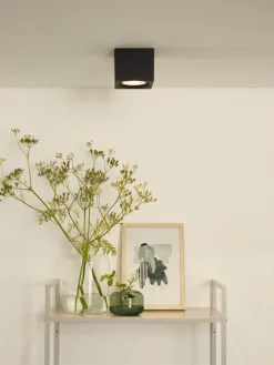 Discount Lucide Fedler spotlight