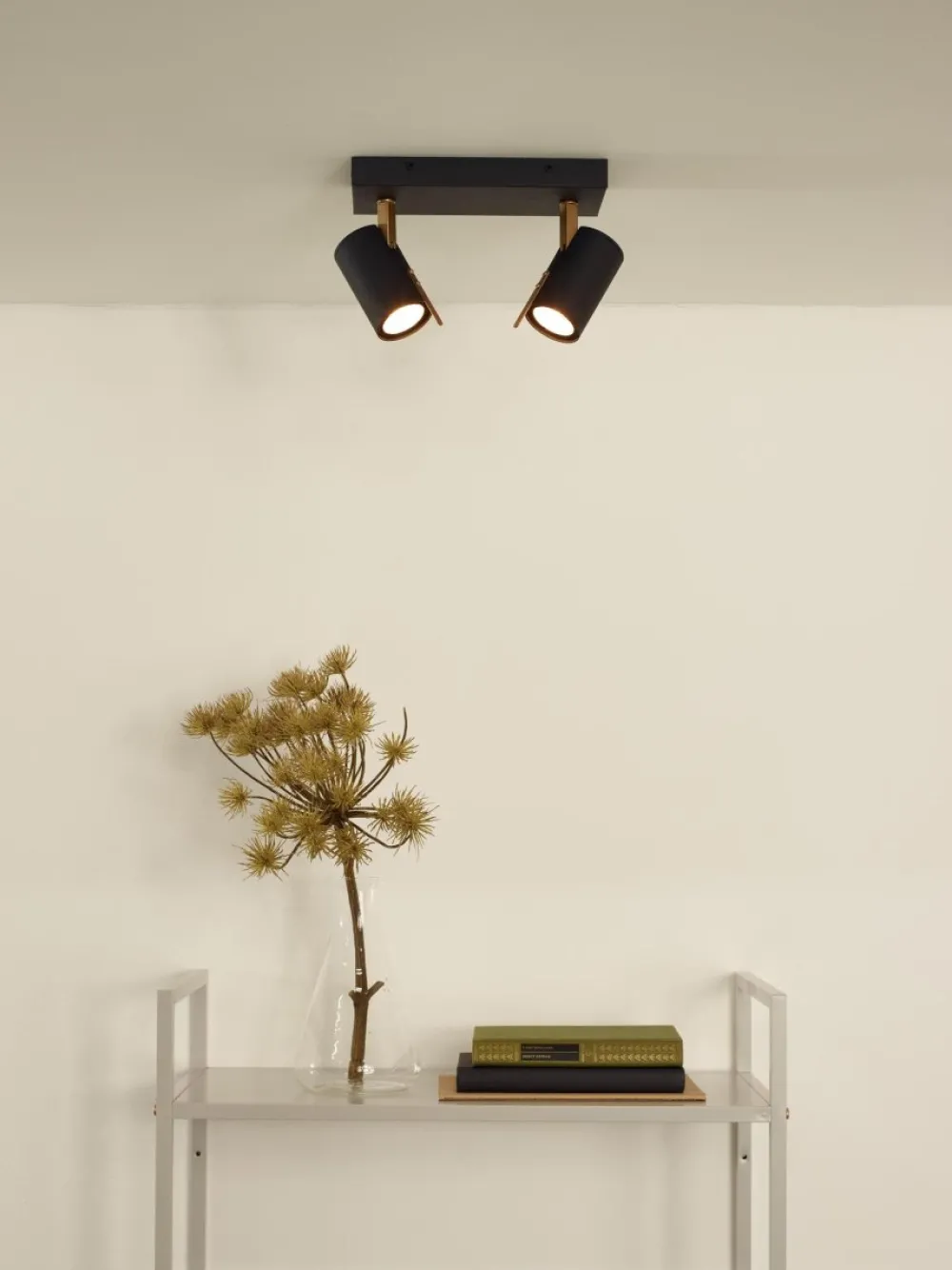 Best Lucide Grony 2 spotlight Svart