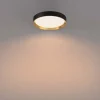 Philips Hanno Ø38 plafond