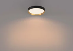 Philips Hanno Ø38 plafond