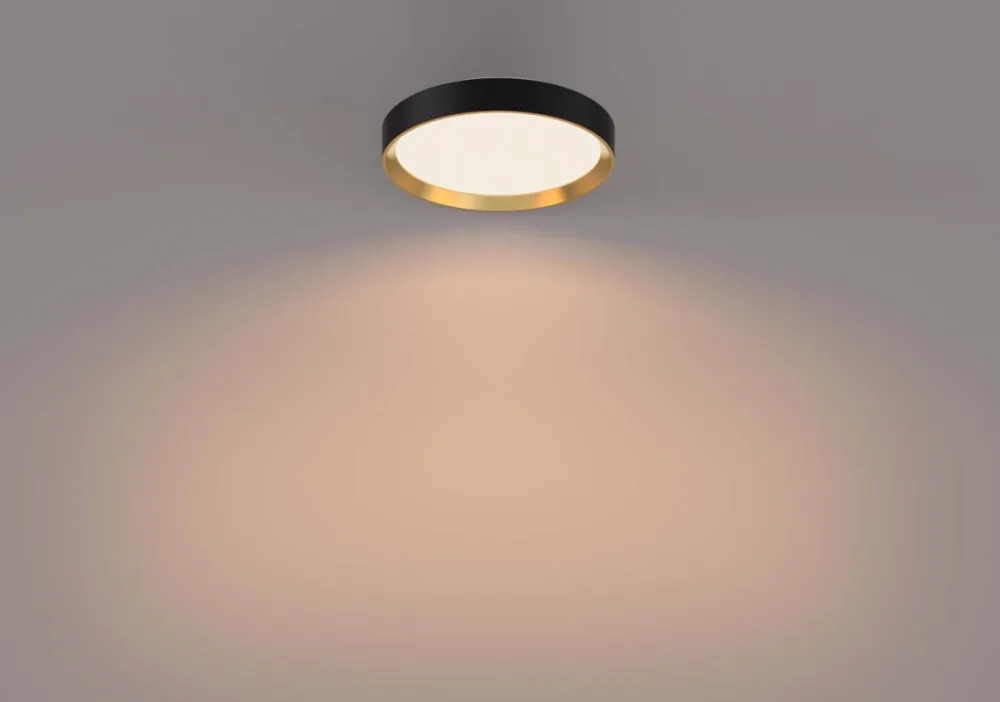 Philips Hanno Ø38 plafond