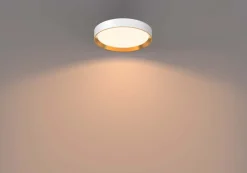 Online Philips Hanno Ø38 plafond