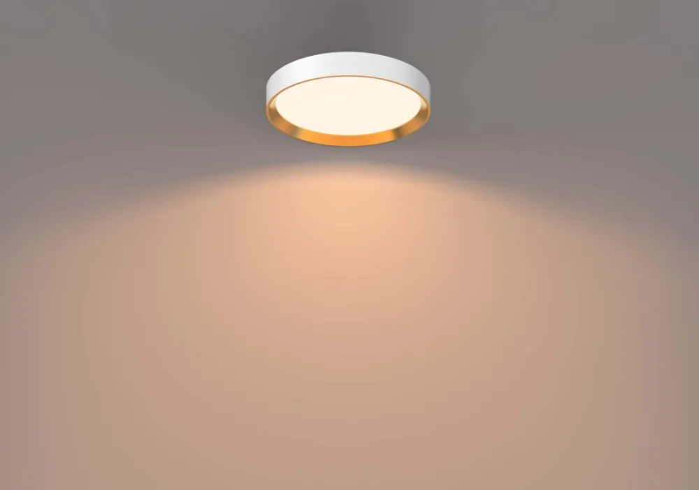 Online Philips Hanno Ø38 plafond