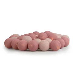 Discount Irislights French rose 20 bollar Rosa