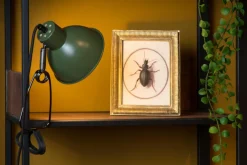 New Lucide Moys klämlampa