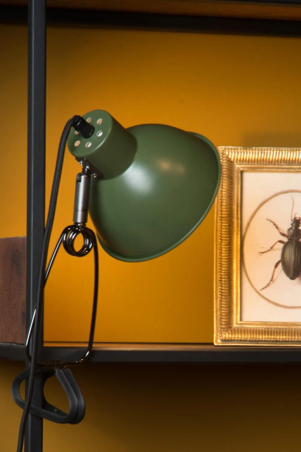 New Lucide Moys klämlampa