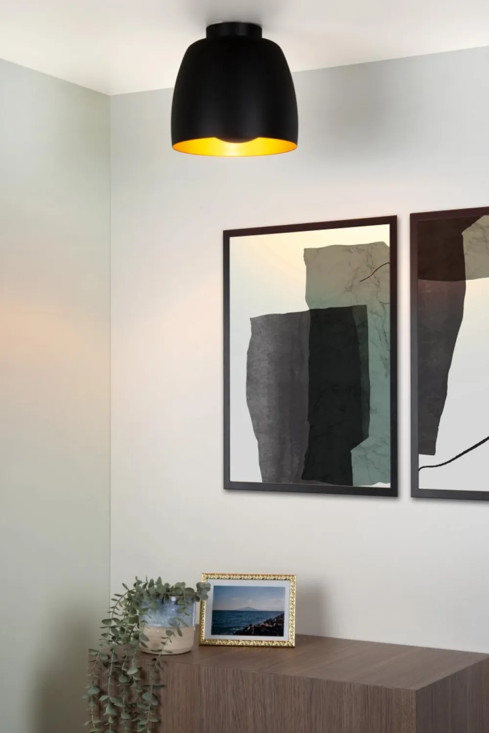 Online Lucide Nolan Ø24 plafond Svart