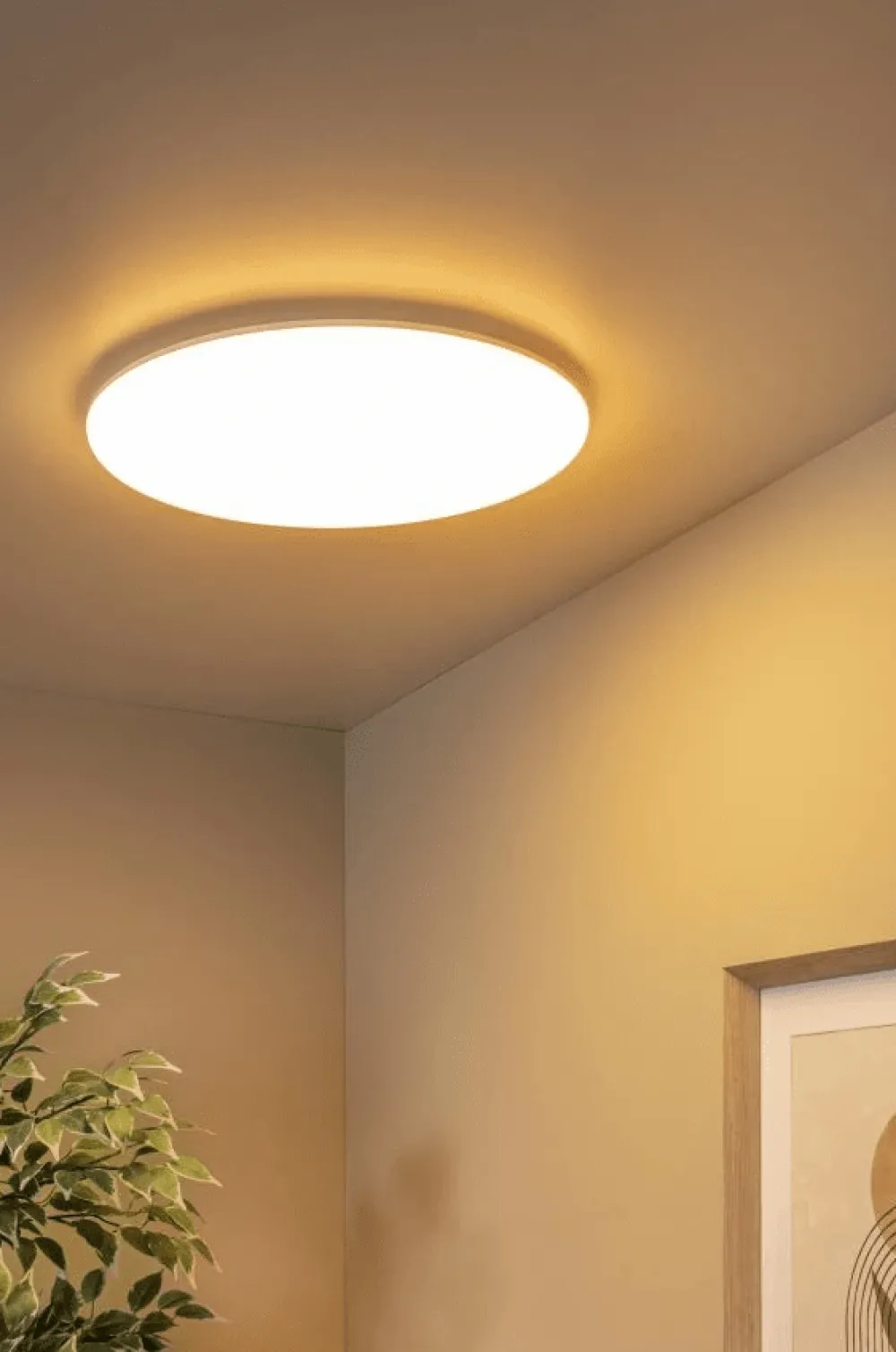 Sale Lucide Olson Ø45 badrumslampa Vit