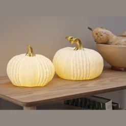 Discount Star Trading Pumpkin 12cm Vit