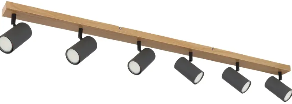 Globo Lighting Robby 6 spotlight