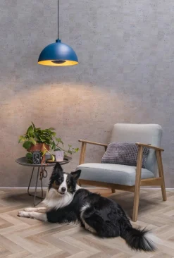 Clearance Lucide Siemon Ø40 taklampa