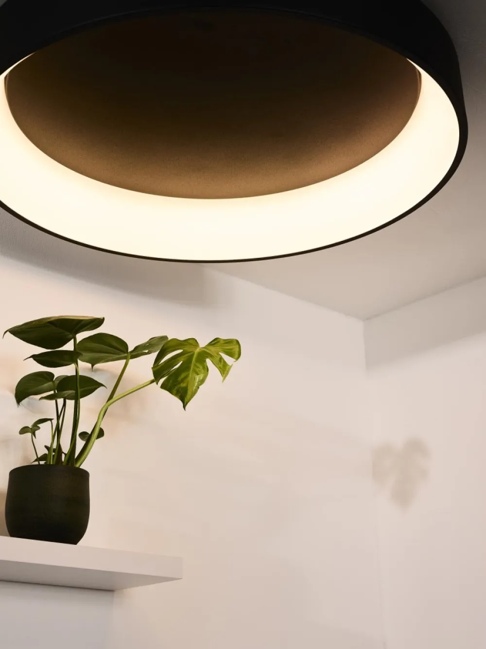 New Lucide Talowe Led Ø80 plafond