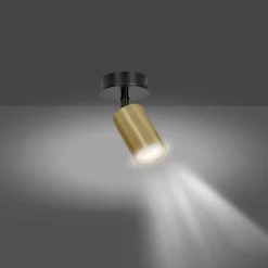 Clearance Emibig Lighting Zen spotlight Guld